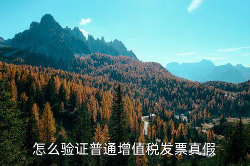 怎么驗證普通增值稅發票真假