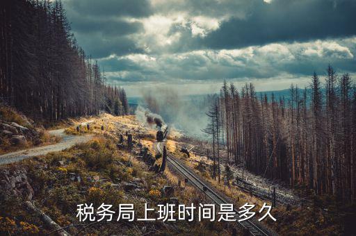 如何查詢辦稅務時間，想查詢自己的納稅記錄看是否滿五年請問去哪里可以