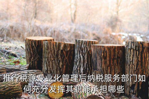 推行稅源專業化管理后納稅服務部門如何充分發揮其職能承擔哪些