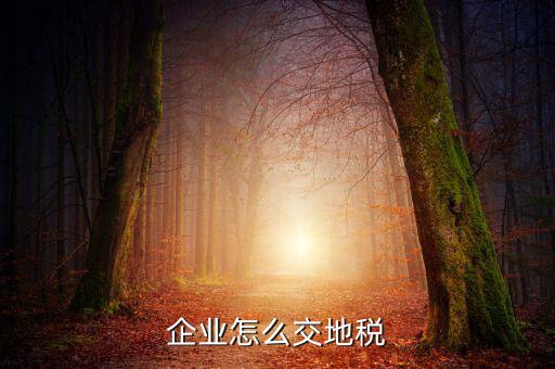 企業怎么交地稅