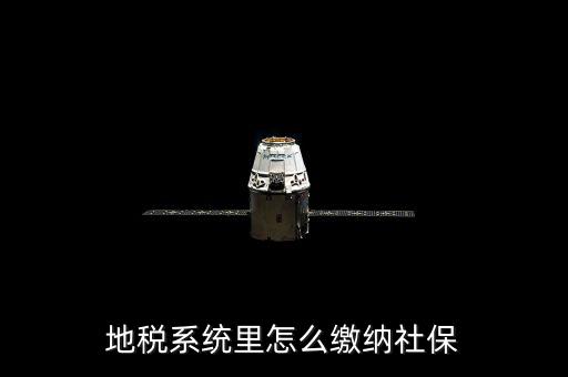 地稅系統里怎么繳納社保