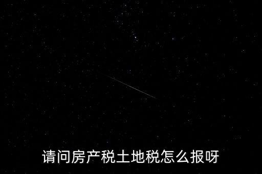 請問房產稅土地稅怎么報呀
