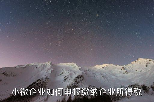 小微企業如何申報繳納企業所得稅