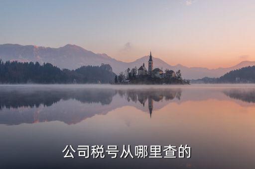 企業稅號如何查詢，公司稅號從哪里查的