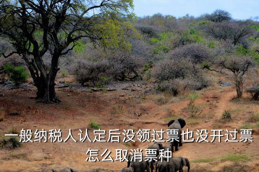 如何取消發票票種核定，一般納稅人認定后沒領過票也沒開過票怎么取消票種