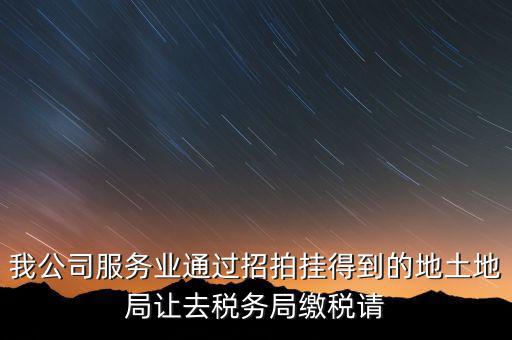 我公司服務業通過招拍掛得到的地土地局讓去稅務局繳稅請
