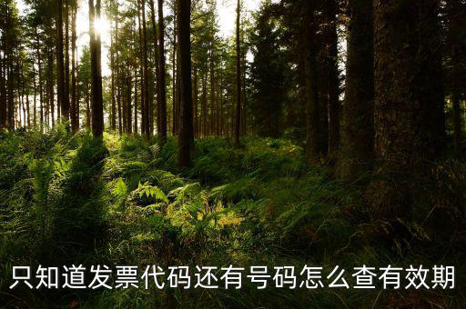 只知道發票代碼還有號碼怎么查有效期