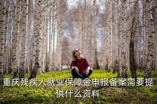 重慶殘疾人就業保障金申報備案需要提供什么資料