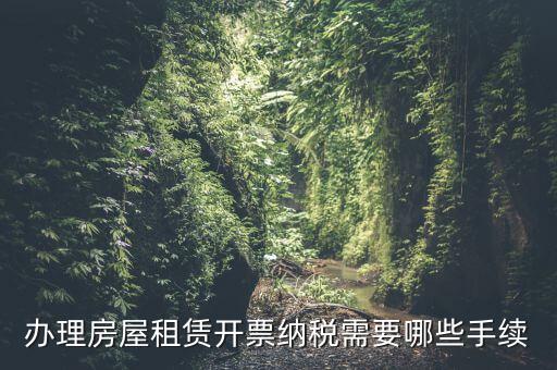 租房如何開增值稅專票，房屋租賃可以開增值稅專用發票嗎