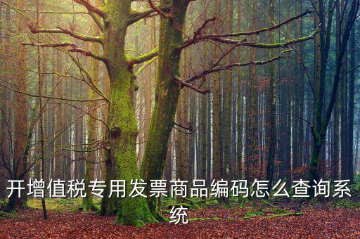 開增值稅專用發票商品編碼怎么查詢系統