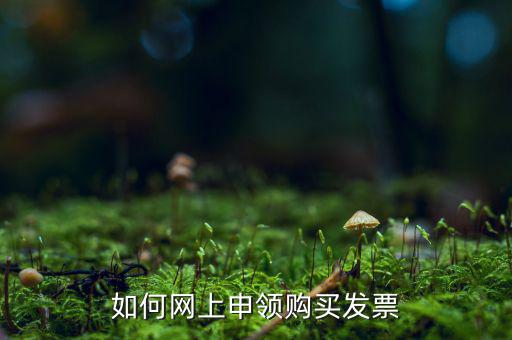 如何網上申領購買發票