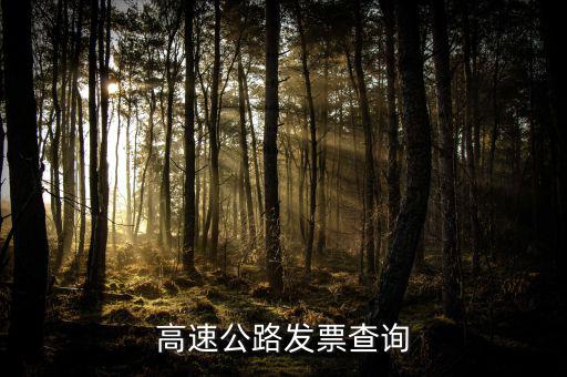 如何知道道路發票幾級，汽車的增值稅發票怎么看