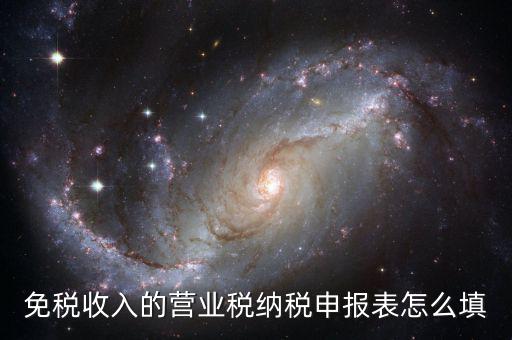 免稅收入的營業稅納稅申報表怎么填