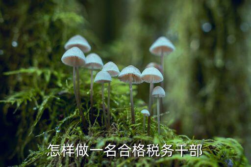 怎樣做一名合格稅務干部