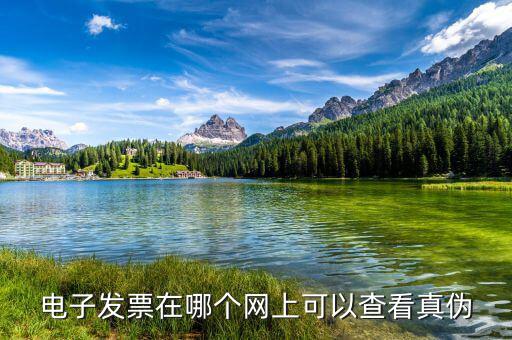 電子發票在哪個網上可以查看真偽