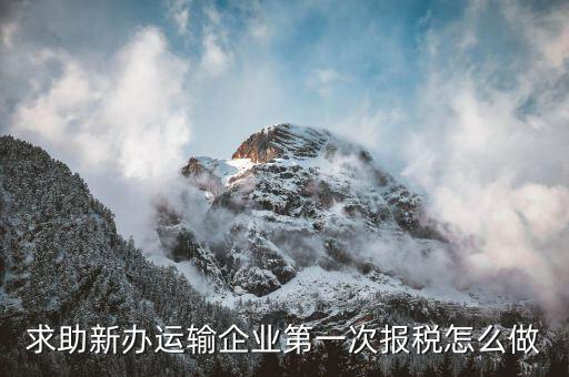 求助新辦運輸企業第一次報稅怎么做