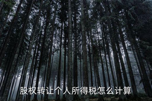 如何計算股權(quán)轉(zhuǎn)讓所得稅，股權(quán)轉(zhuǎn)讓的個人所得稅怎么計算