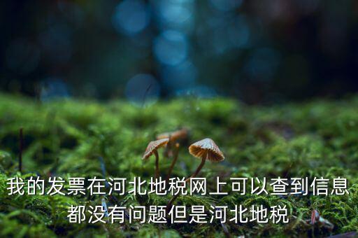 我的發票在河北地稅網上可以查到信息都沒有問題但是河北地稅