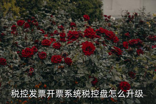 稅控發票開票系統稅控盤怎么升級