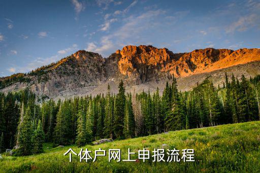 個體戶網上申報流程