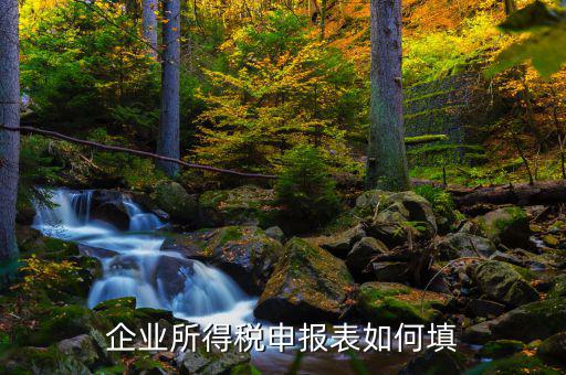 如何填寫企業所得稅申報表，如何填制企業年度所得稅申報表