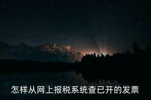 怎樣從網上報稅系統查已開的發票