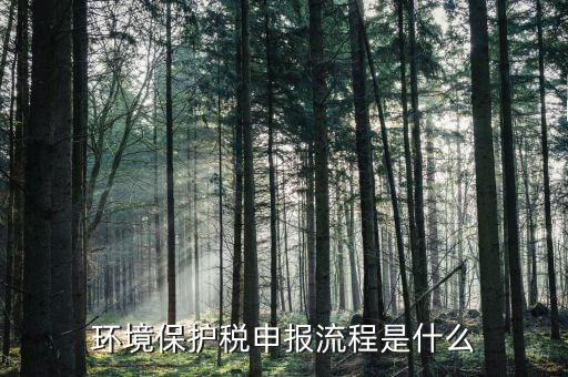 環境保護稅申報流程是什么