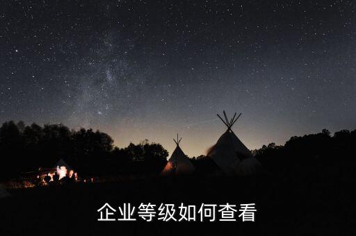 企業等級如何查看