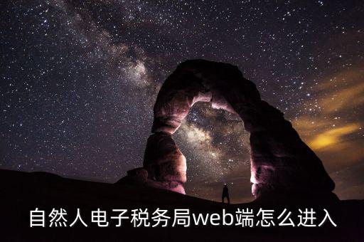 網上稅務局如何以自然人登錄，電子稅務局有哪幾種登錄方式