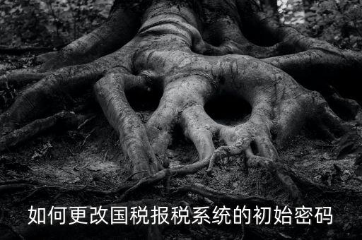 如何更改國稅報稅系統的初始密碼