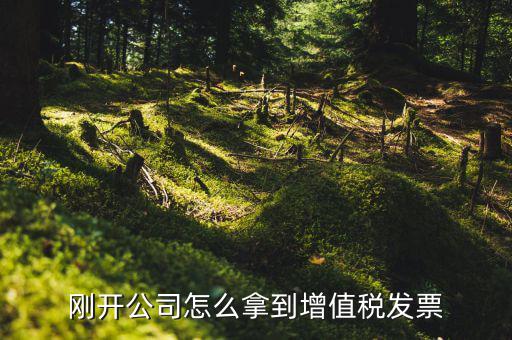 剛開公司怎么拿到增值稅發票