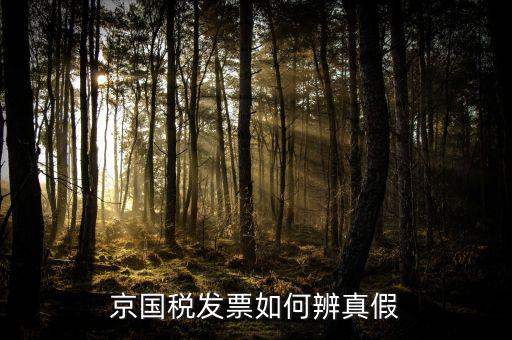 京國稅發票如何辨真假