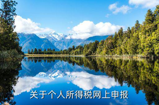 網上如何啟用個稅，如何打開個人所得稅申報表的明細