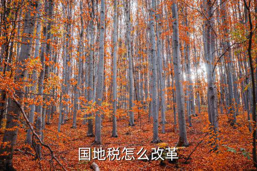 宿豫區國稅與地稅如何改革，深化國稅地稅征管體制改革方案是 什么內容