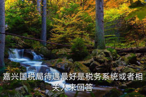海寧國稅局待遇如何，嘉興經開國稅在哪