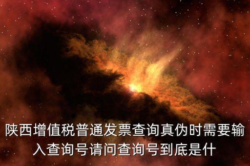 陜西增值稅普通發票查詢真偽時需要輸入查詢號請問查詢號到底是什