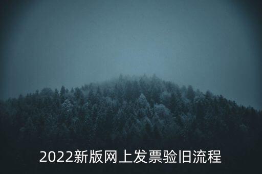 2022新版網上發票驗舊流程