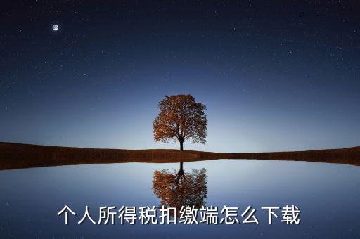 如何下載自然人扣繳客戶端，重慶市自然人電子稅務局扣繳端怎么下載