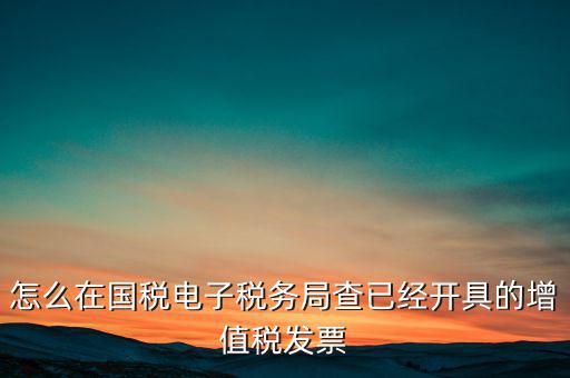 怎么在國稅電子稅務局查已經開具的增值稅發票