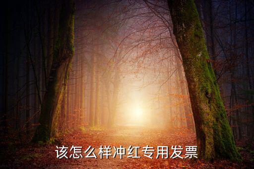 該怎么樣沖紅專用發票