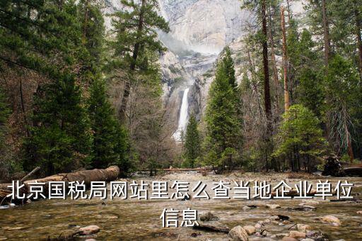 北京國稅局網站里怎么查當地企業單位信息