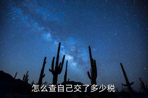 如何查詢交稅，如何查詢企業繳稅情況