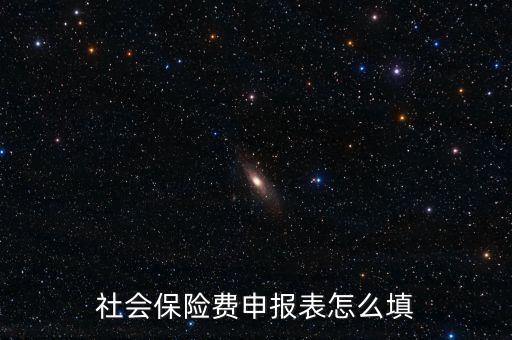 稅務系統社保費申報表如何填報，社會保險費申報表怎么填