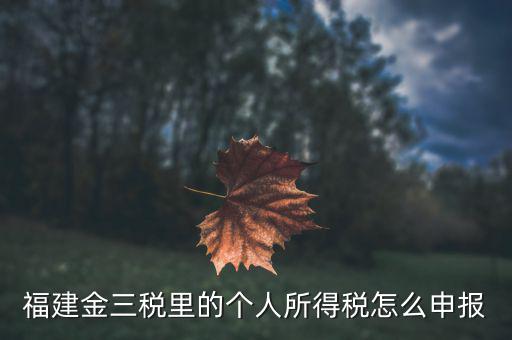 福建企業個稅如何申報系統，福建省2019年企業所得稅年報 在哪里報