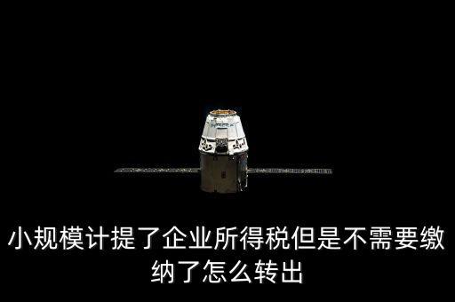 小規模計提了企業所得稅但是不需要繳納了怎么轉出