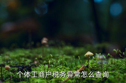 個體工商戶稅務異常怎么查詢