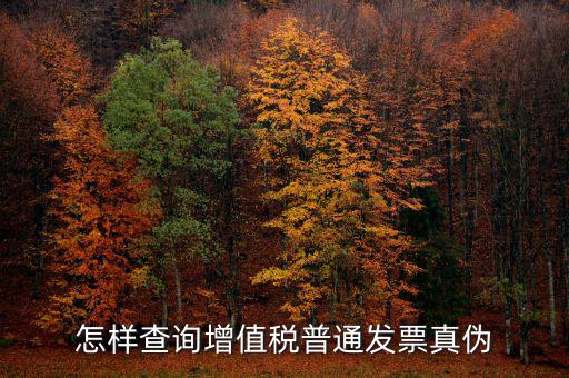 怎樣查詢增值稅普通發票真偽