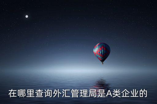 在哪里查詢外匯管理局是A類企業的