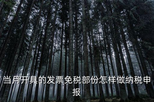 免稅和納稅如何申報，當月開具的發票免稅部份怎樣做納稅申報