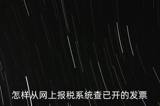 怎樣從網上報稅系統查已開的發票
